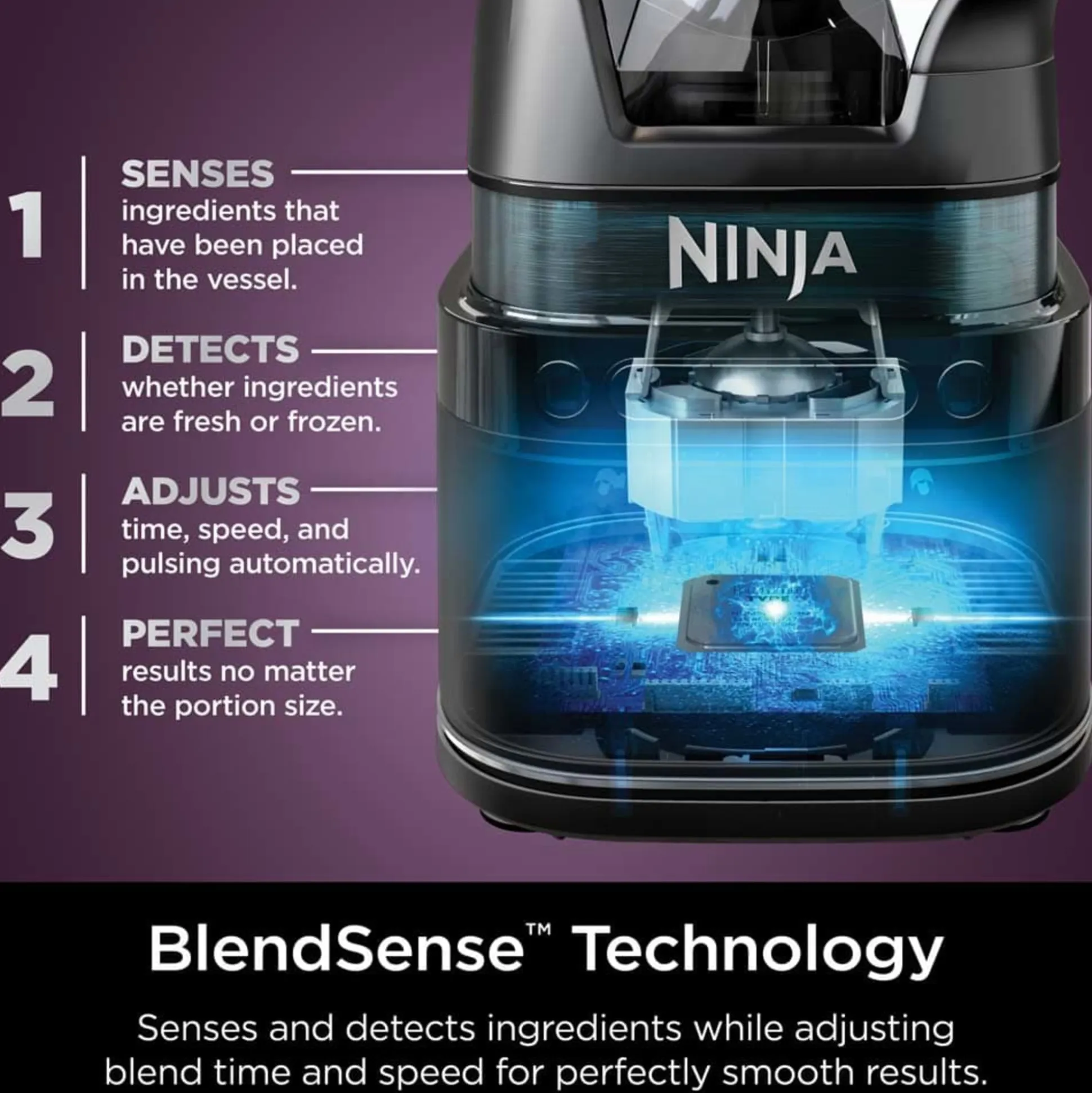 Ninja Detect™ Professional Blender and Food Processor