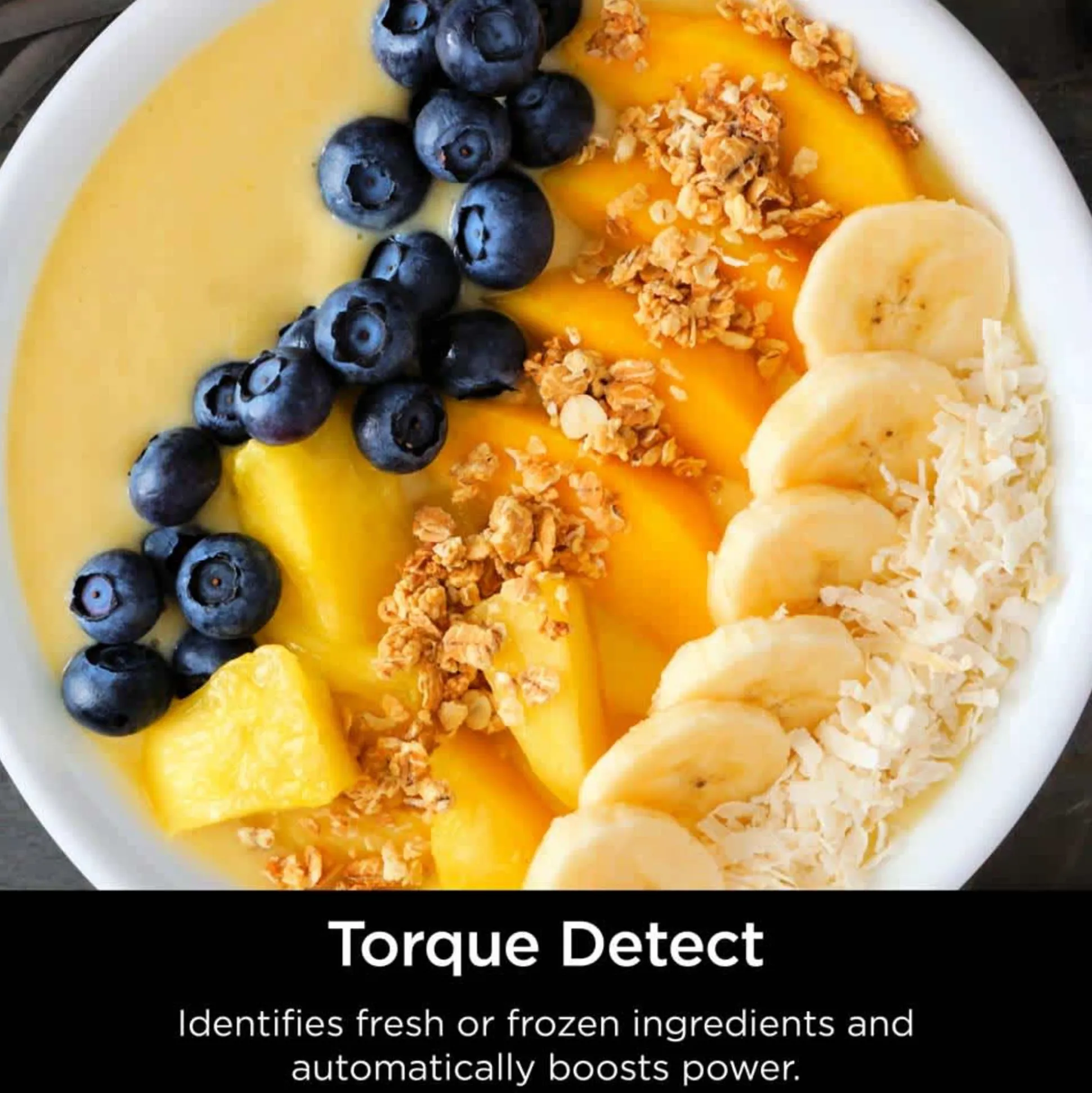 Ninja Detect™ Professional Blender and Food Processor