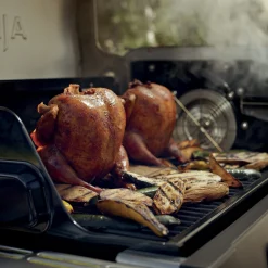 Ninja™ FlexFlame™ Grill and Smoker in Green