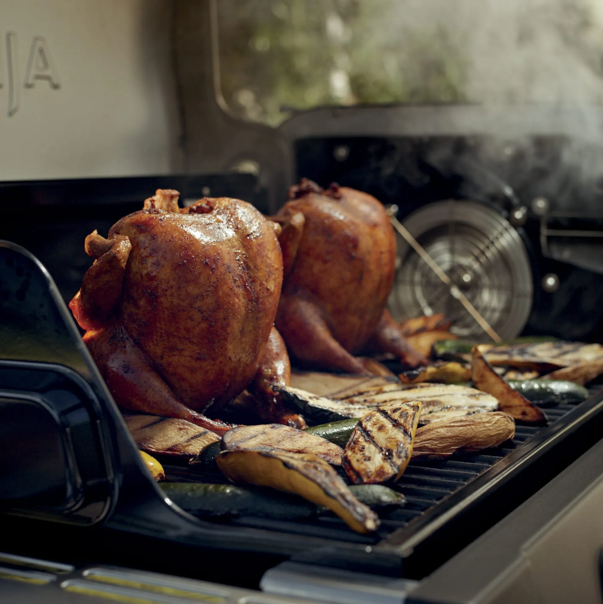Ninja™ FlexFlame™ Grill and Smoker in Green