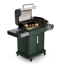 Ninja™ FlexFlame™ Grill and Smoker in Green