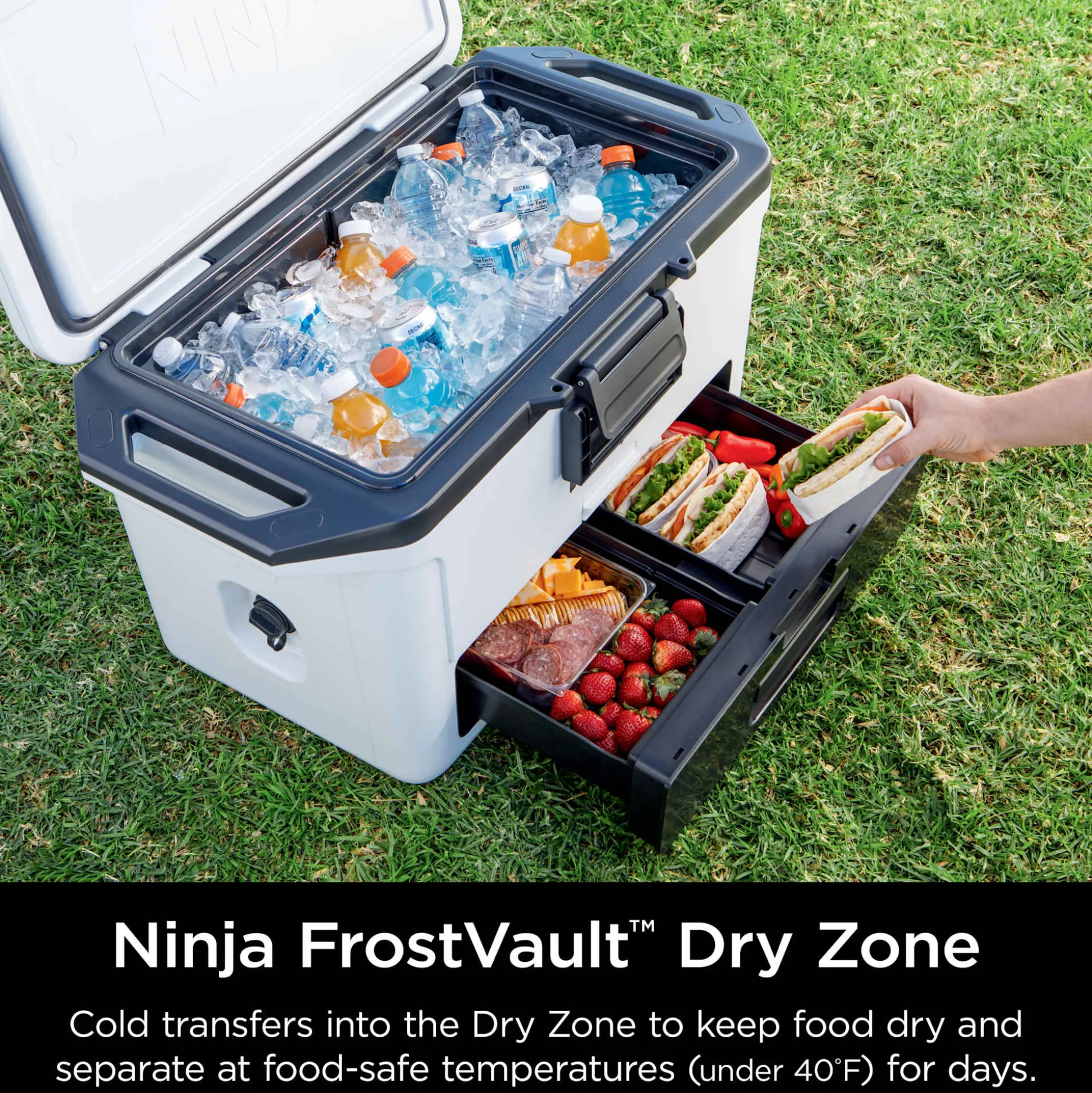 Ninja FrostVault 50qt Hard Cooler & 24-Can Backpack Cooler Bundle