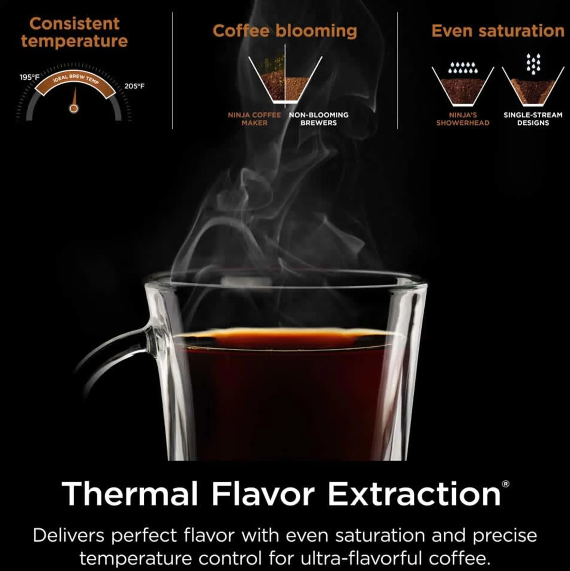 Ninja Hot & Iced XL Coffee Maker
