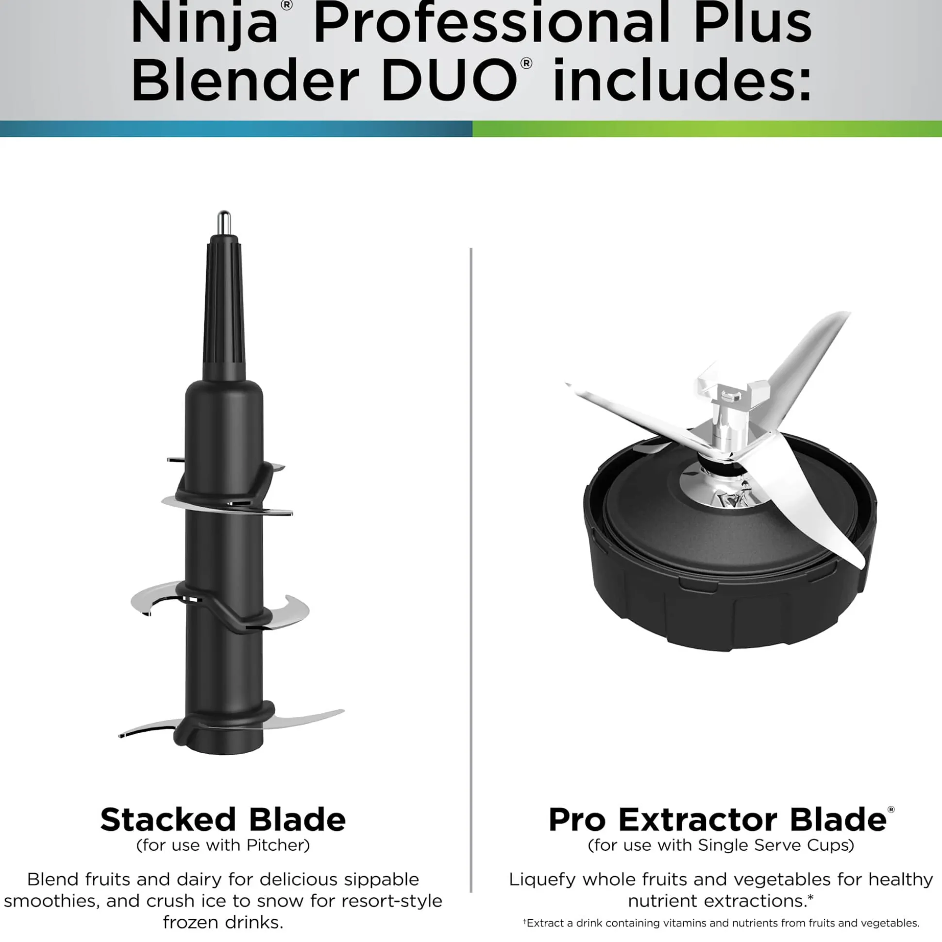 Ninja Professional Plus Blender with Cups