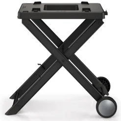Ninja Woodfire™ Collapsible Outdoor Grill Stand