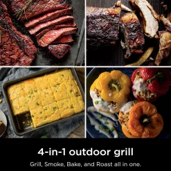 Ninja Woodfire Outdoor Grill and Smoker Stand Bundle