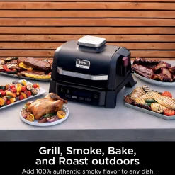 Ninja Woodfire Outdoor Grill