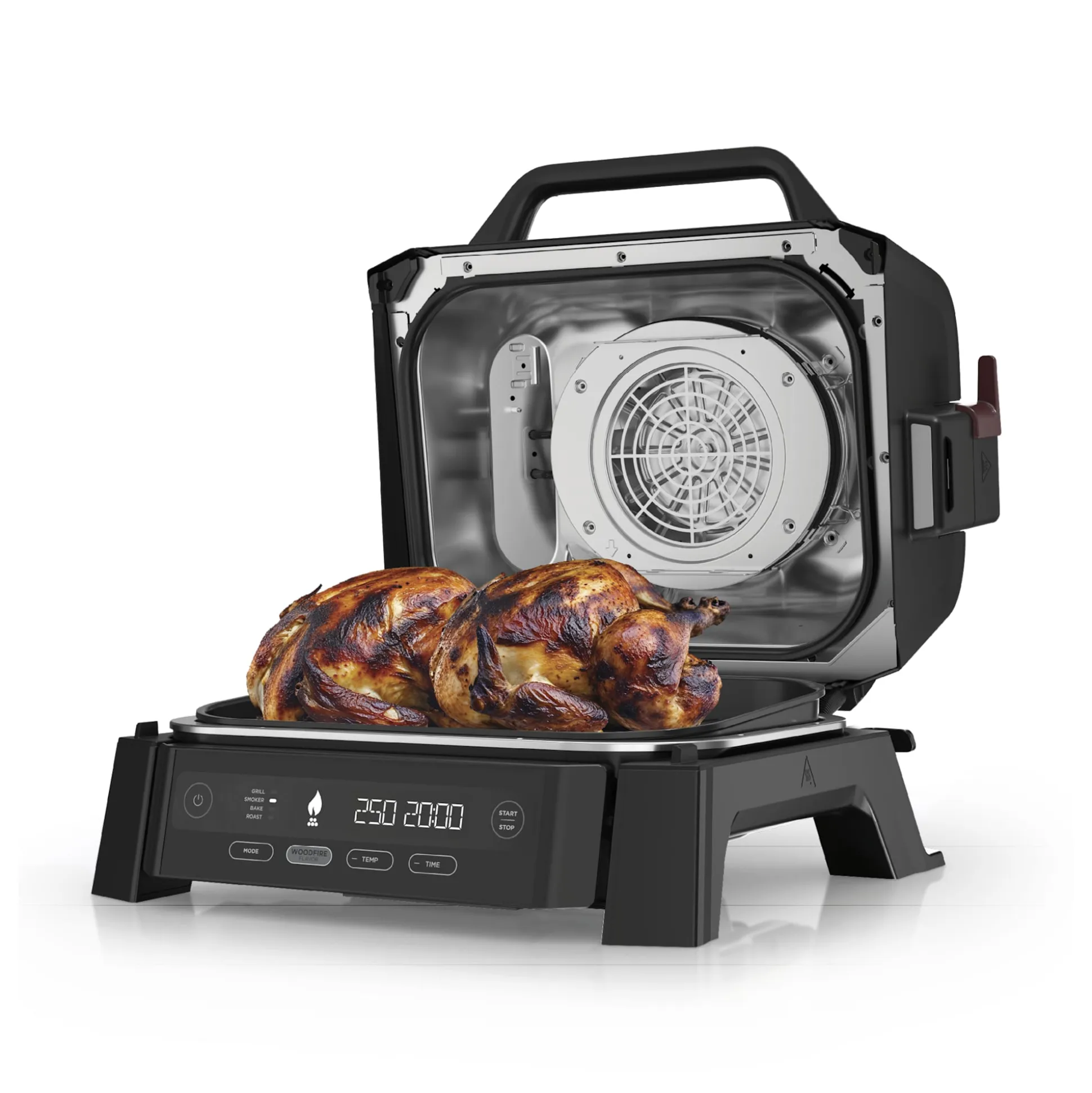 Ninja Woodfire Outdoor Grill