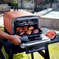 Ninja Woodfire™ Pizza Oven