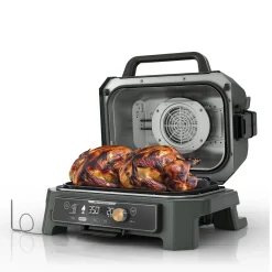 Ninja Woodfire Premium XL BBQ Grill in Green and Gold