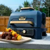 Ninja Woodfire XL Grill and Slushie Machine Bundle