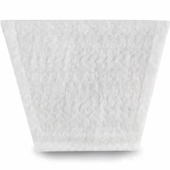 Post-Motor Filter