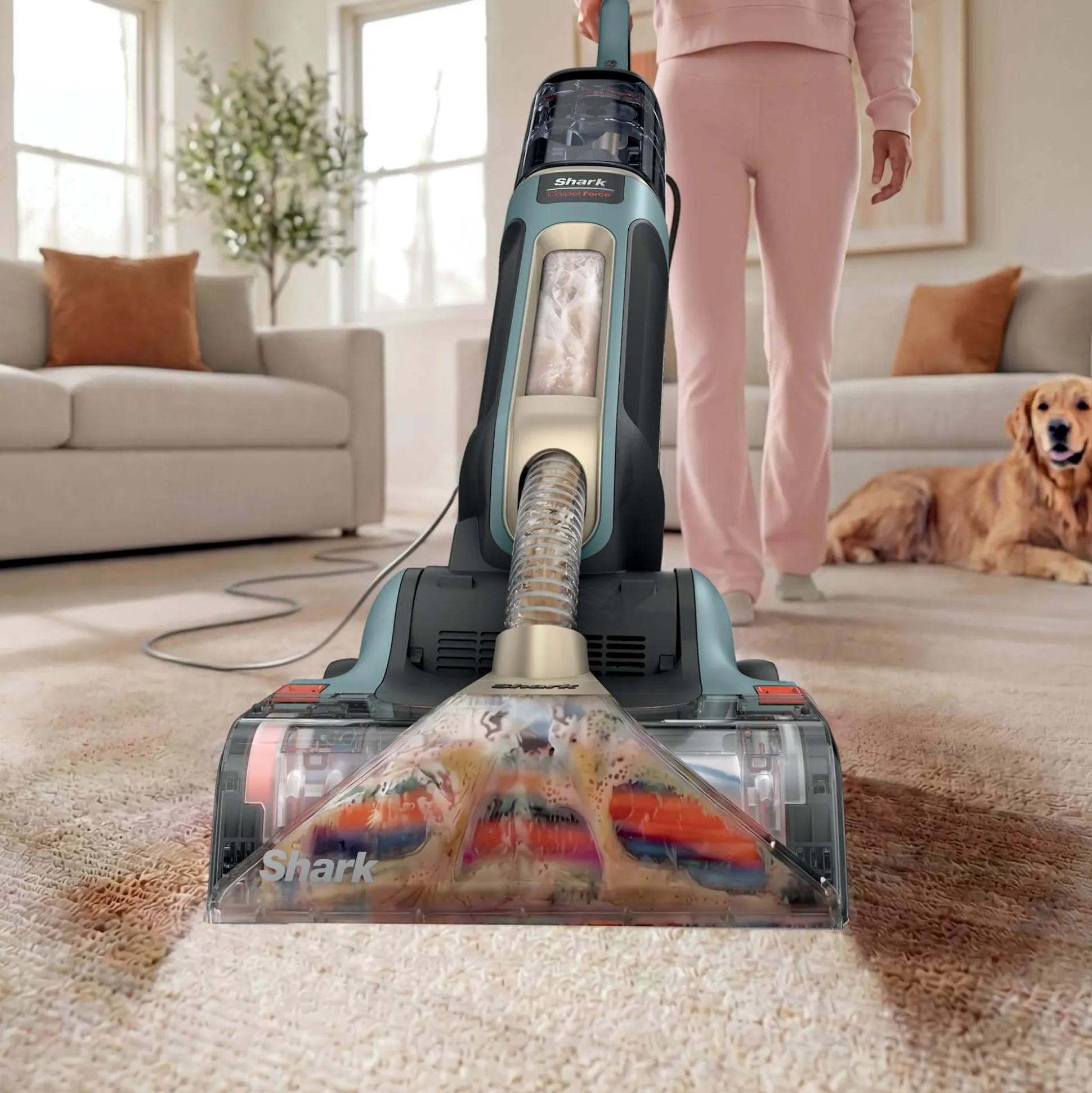 Shark® CarpetForce™ Upright Carpet Cleaner