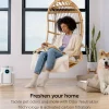 Shark NeverChange™ Compact Air Purifier Bundle
