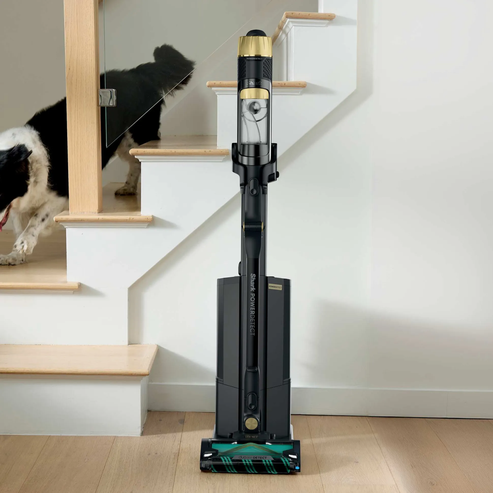 Shark® PowerDetect® Reveal Cordless Vacuum Clean & Empty System