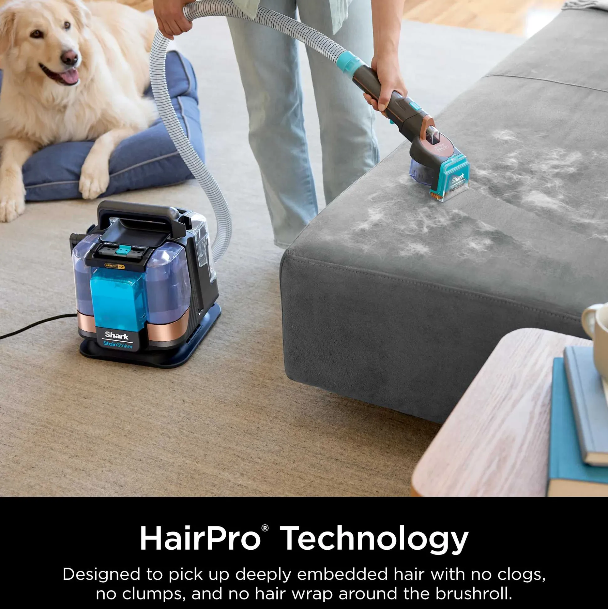 Shark StainStriker™ Hairpro Pet Carpet Cleaner
